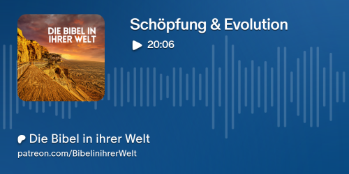 2024-06-14-schpfung--evolution-promo-card